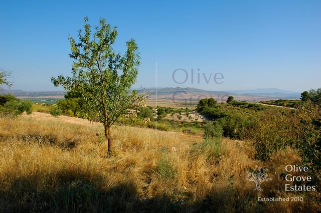 3 bedroom Townhouse for sale in Caudete with pool - € 199,995 (Ref: 6769191)