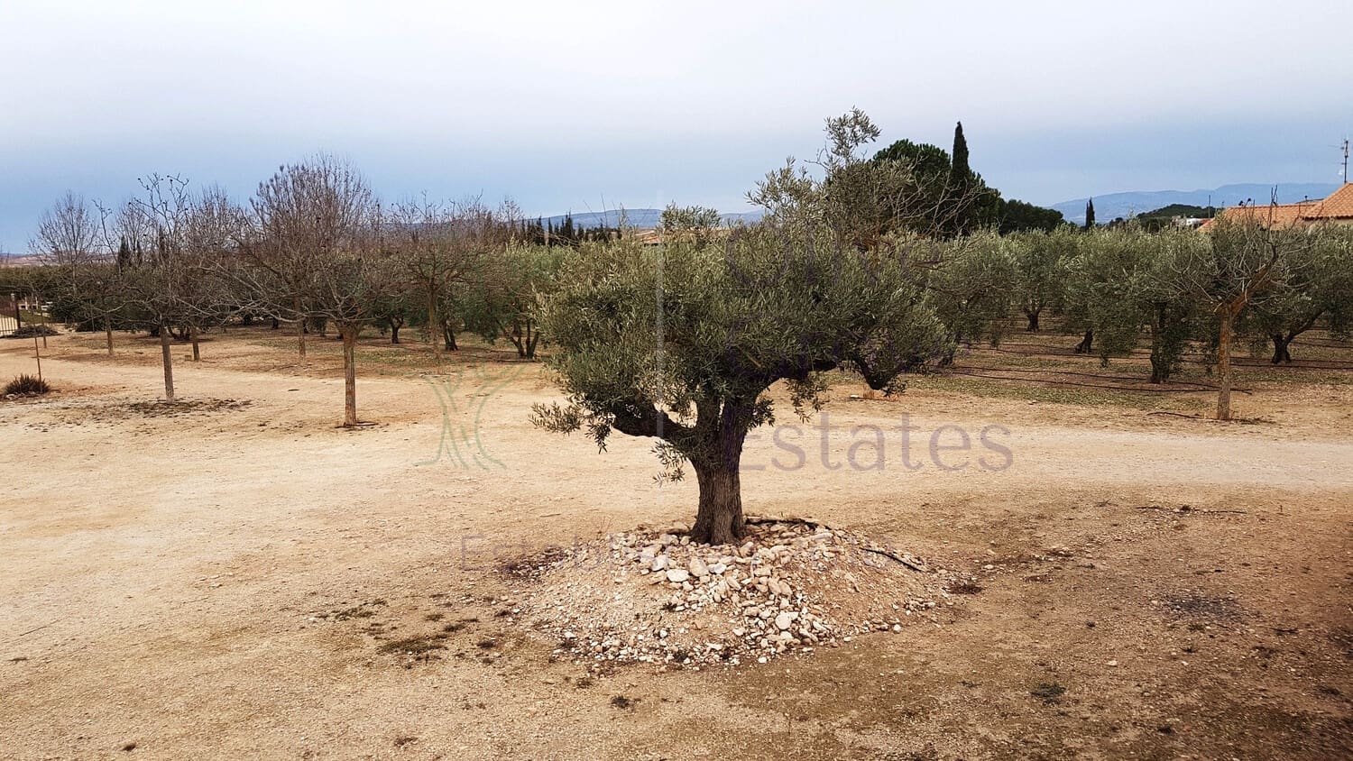 4 soveværelse Villa til salg i Caudete med garage - € 370.000 (Ref: 6769193)