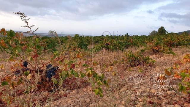 Finca/Casa Rural de 5 habitaciones en Caudete en venta - 1.300.000 € (Ref: 6769207)