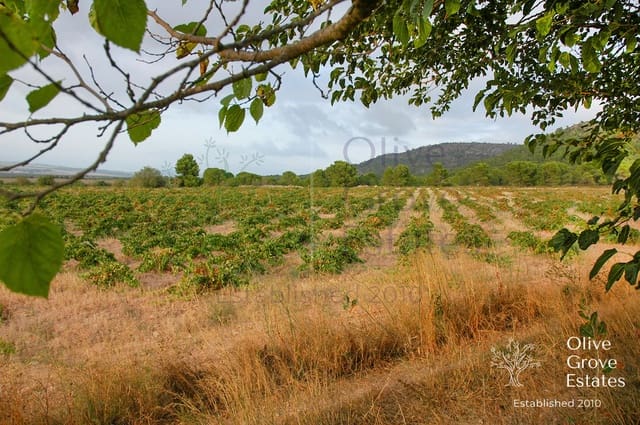 Finca/Casa Rural de 5 habitaciones en Caudete en venta - 1.300.000 € (Ref: 6769207)