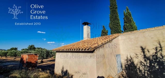 Finca/Landehus til salg i Caudete - € 57.000 (Ref: 6769267)