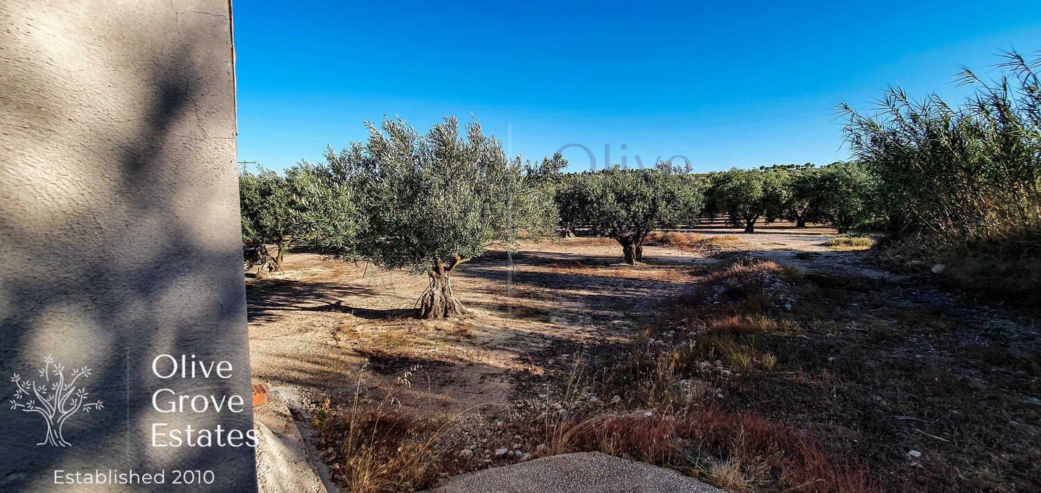 Finca/Landehus til salg i Caudete - € 57.000 (Ref: 6769267)