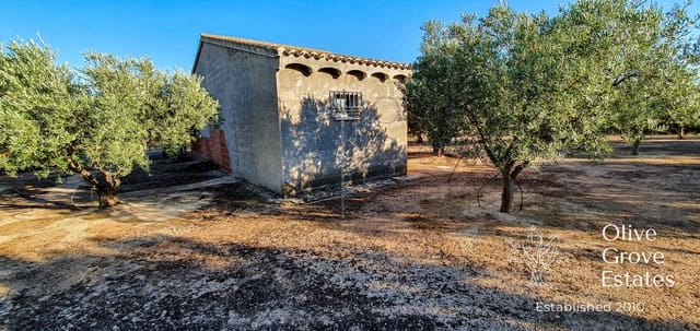 Finca/Landehus til salg i Caudete - € 57.000 (Ref: 6769267)