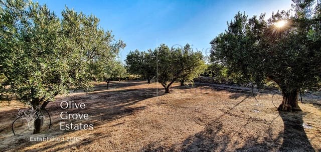 Finca/Landehus til salg i Caudete - € 57.000 (Ref: 6769267)