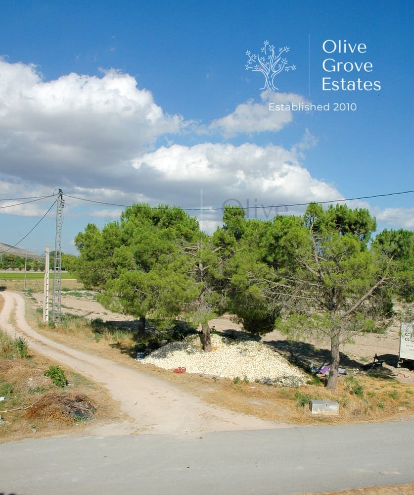 5 sovrum Hus till salu i Villena med pool - 129 500 € (Ref: 6769268)