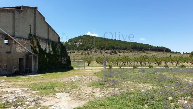 11 bedroom Townhouse for sale in El Camp de Mirra - € 249,995 (Ref: 6834671)