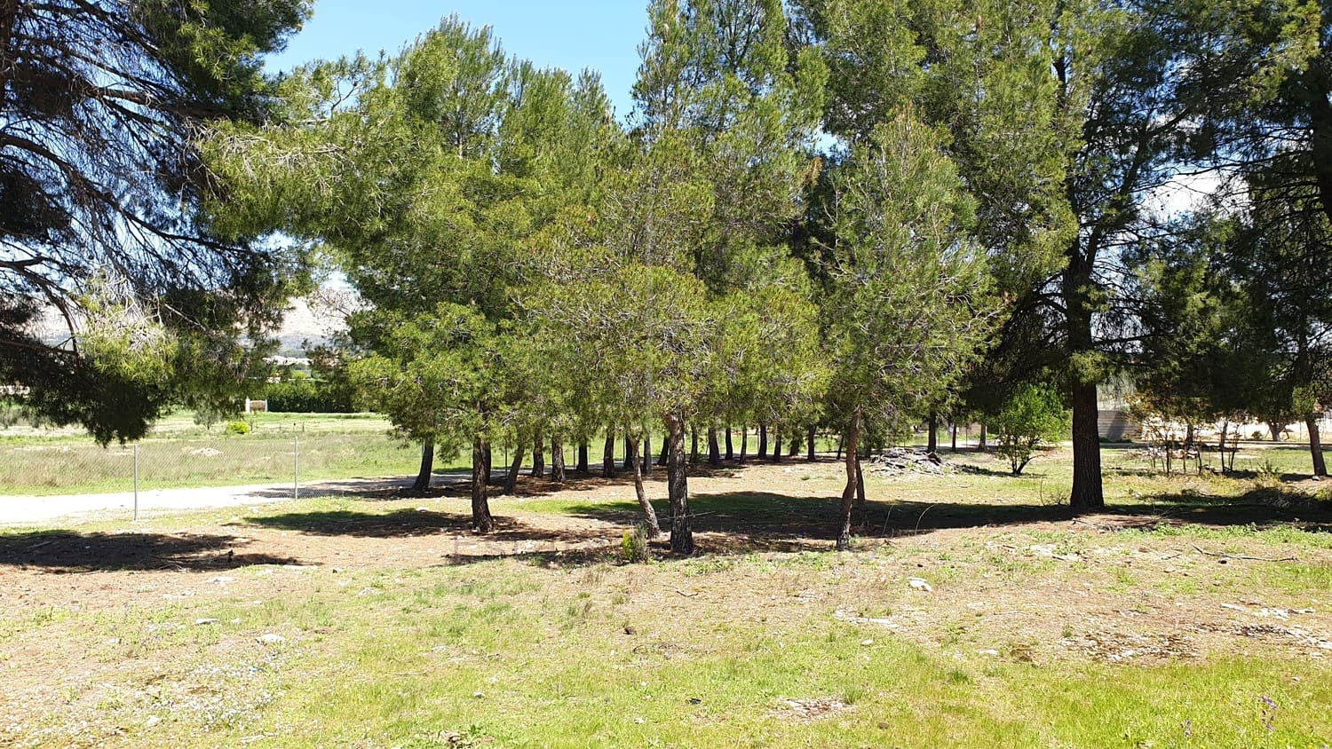 11 soveværelse Byhus til salg i El Camp de Mirra - € 249.995 (Ref: 6834671)