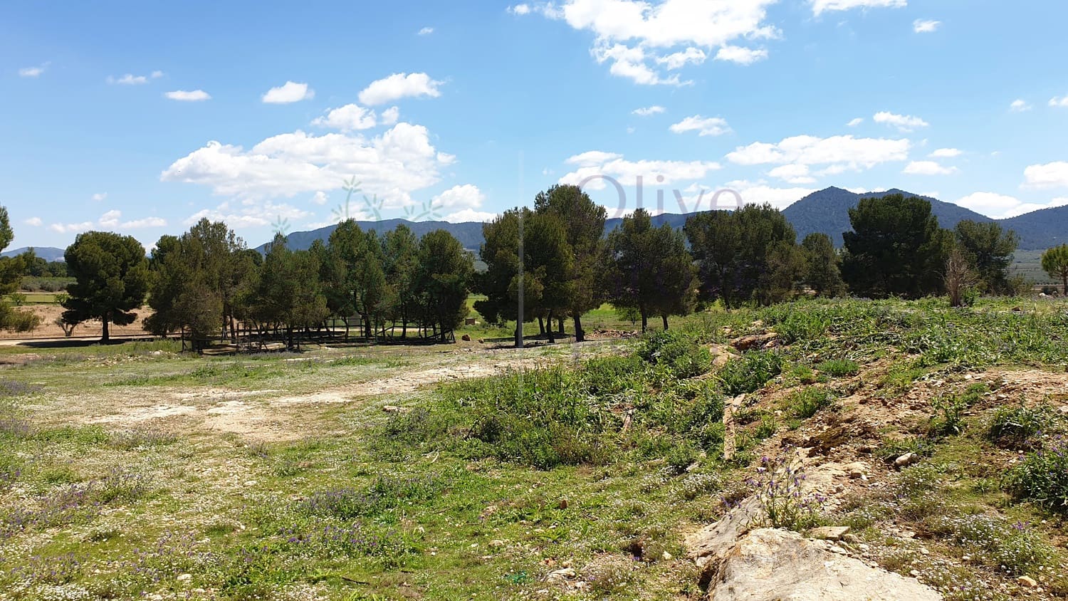 11 soveværelse Byhus til salg i El Camp de Mirra - € 249.995 (Ref: 6834671)