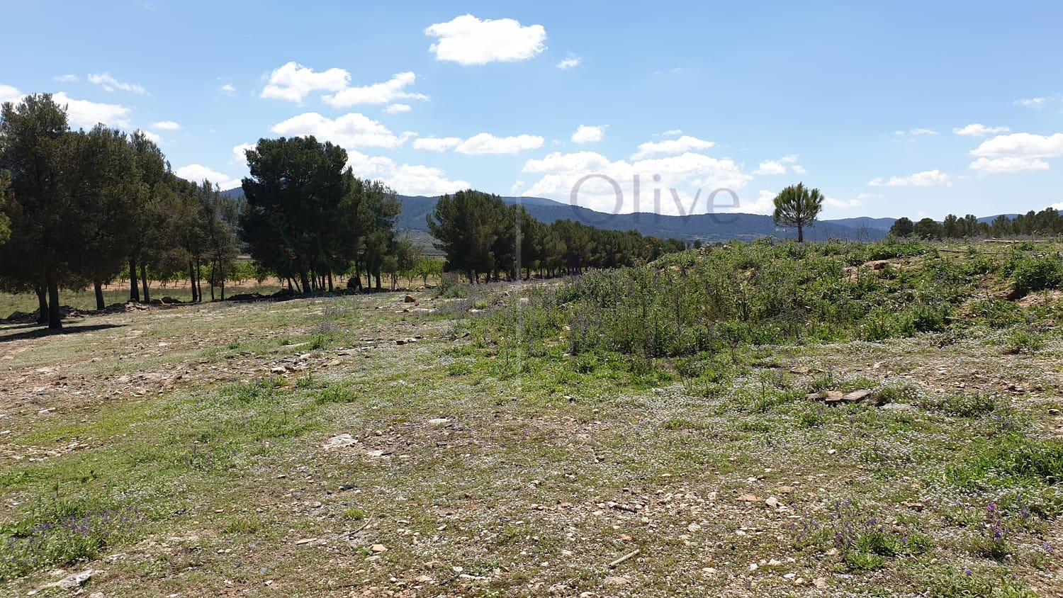 11 soveværelse Byhus til salg i El Camp de Mirra - € 249.995 (Ref: 6834671)