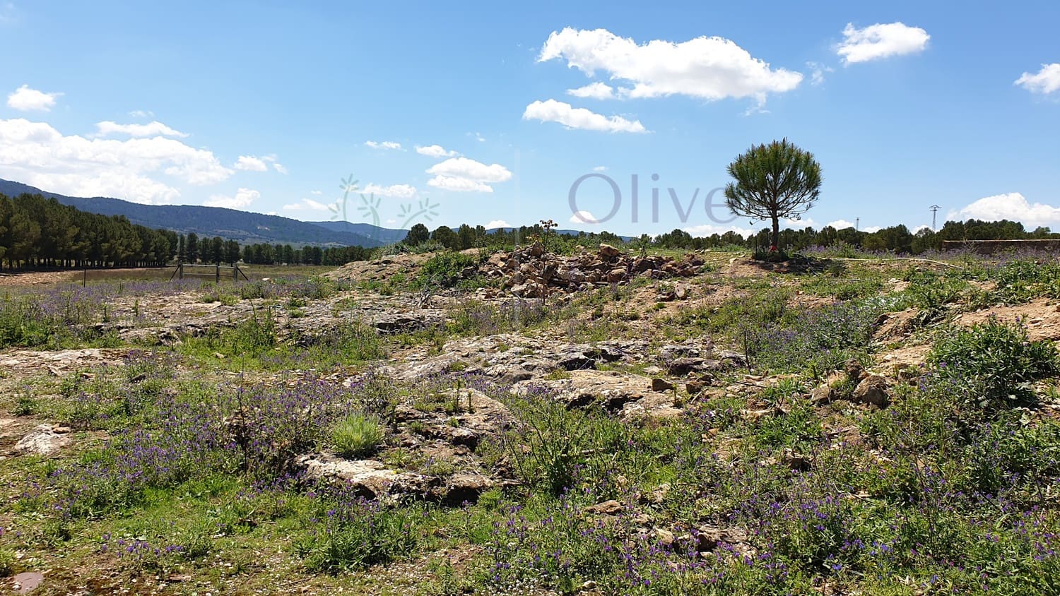 11 soveværelse Byhus til salg i El Camp de Mirra - € 249.995 (Ref: 6834671)