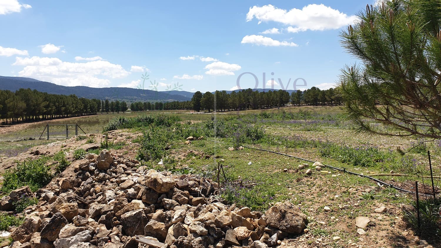 11 soveværelse Byhus til salg i El Camp de Mirra - € 249.995 (Ref: 6834671)