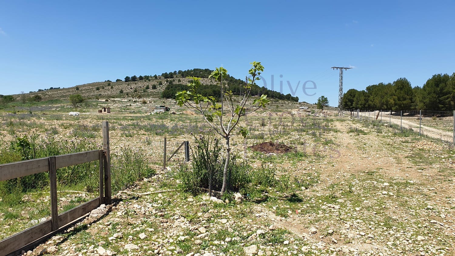 11 soveværelse Byhus til salg i El Camp de Mirra - € 249.995 (Ref: 6834671)