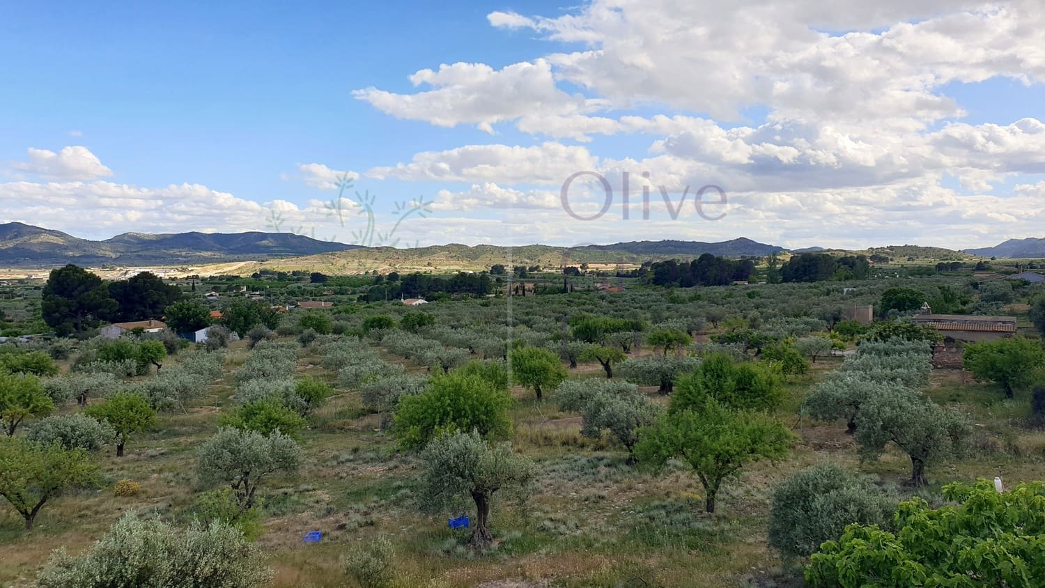 5 bedroom Villa for sale in Caudete with garage - € 224,995 (Ref: 6874187)