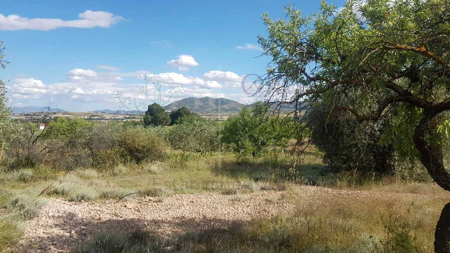 5 bedroom Villa for sale in Caudete with garage - € 224,995 (Ref: 6874187)