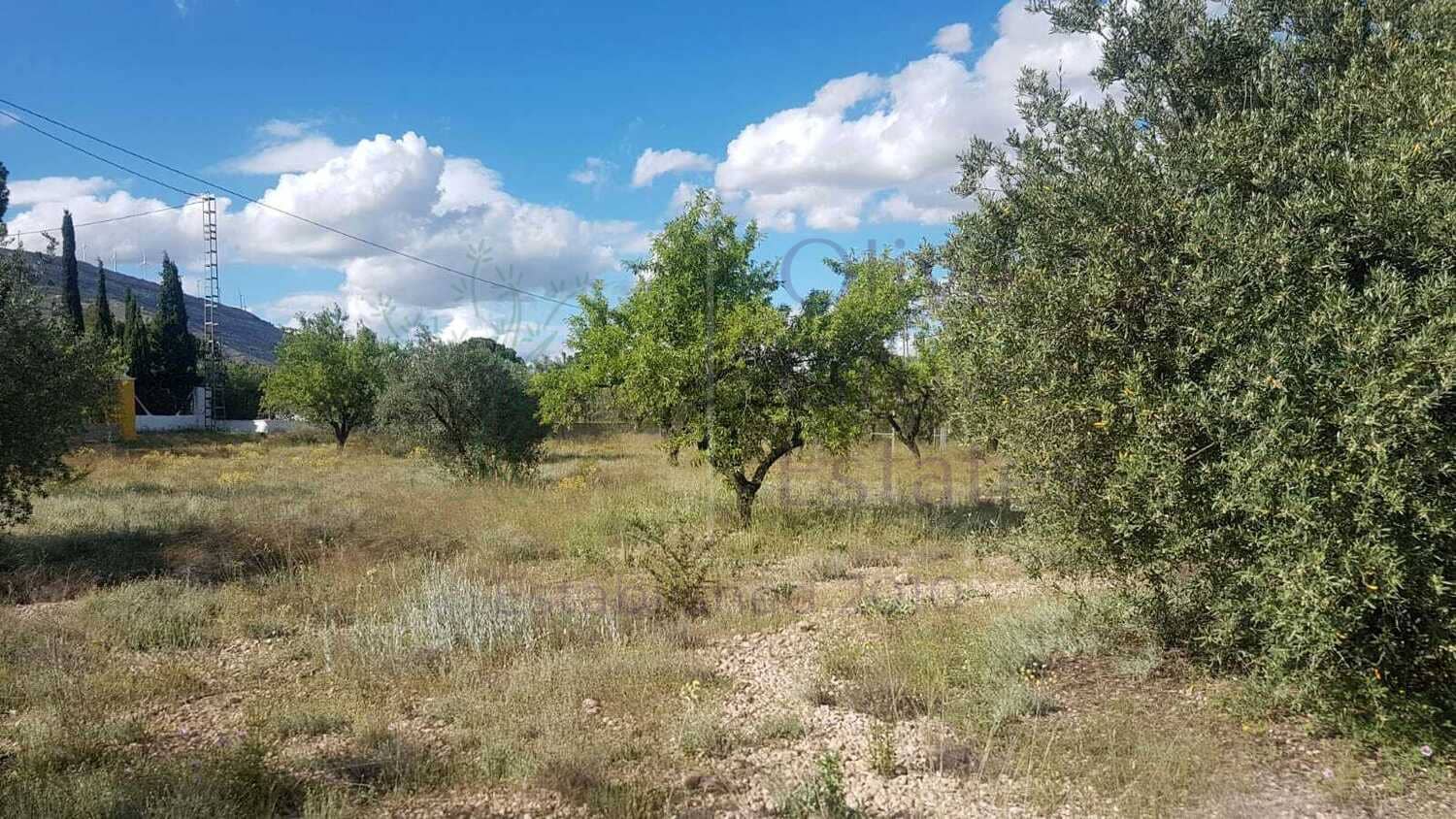 5 bedroom Villa for sale in Caudete with garage - € 224,995 (Ref: 6874187)