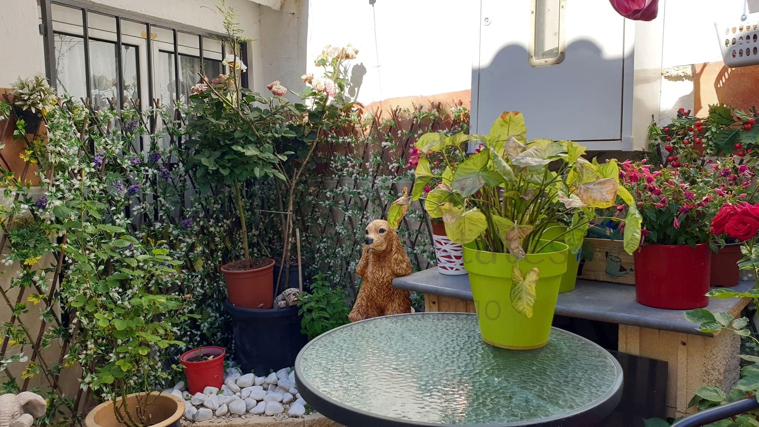 3 chambre Maison de Ville à vendre à Caudete - 54 950 € (Ref: 6876743)