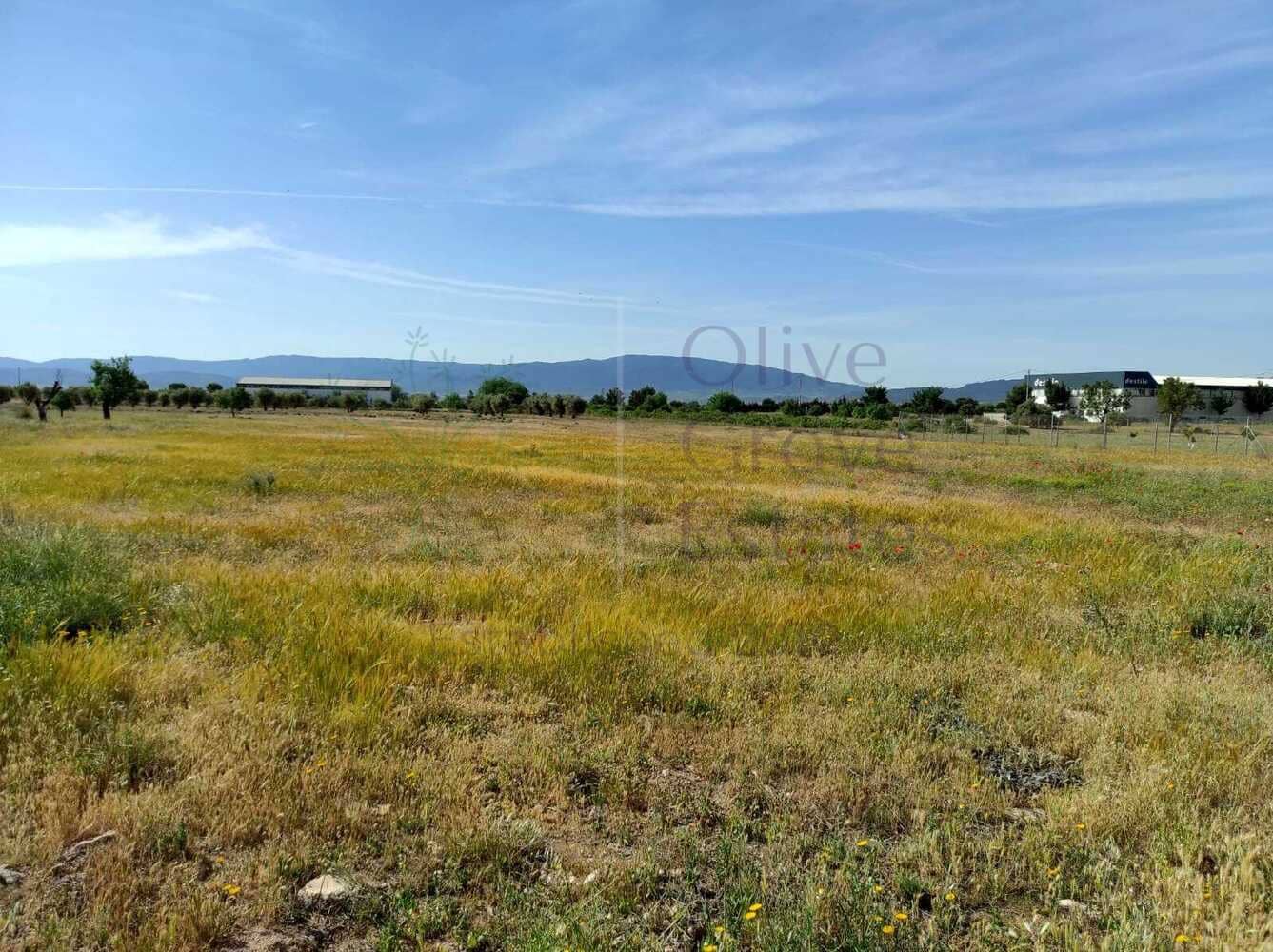 4 bedroom Villa for sale in Yecla with pool garage - € 209,950 (Ref: 6891507)