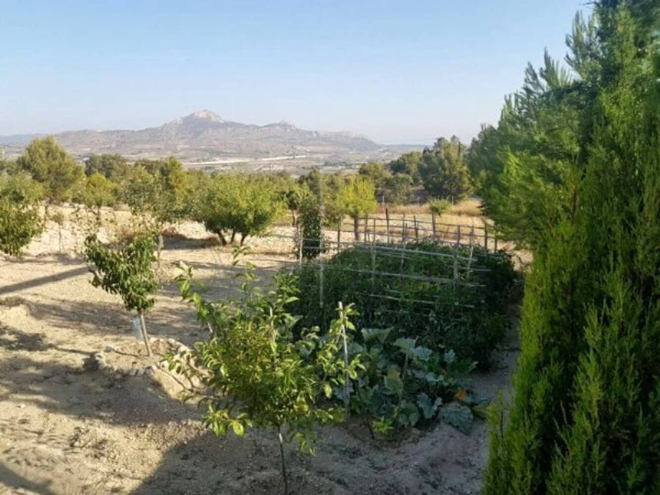 3 bedroom Villa for sale in Elda with pool - € 359,995 (Ref: 7035739)