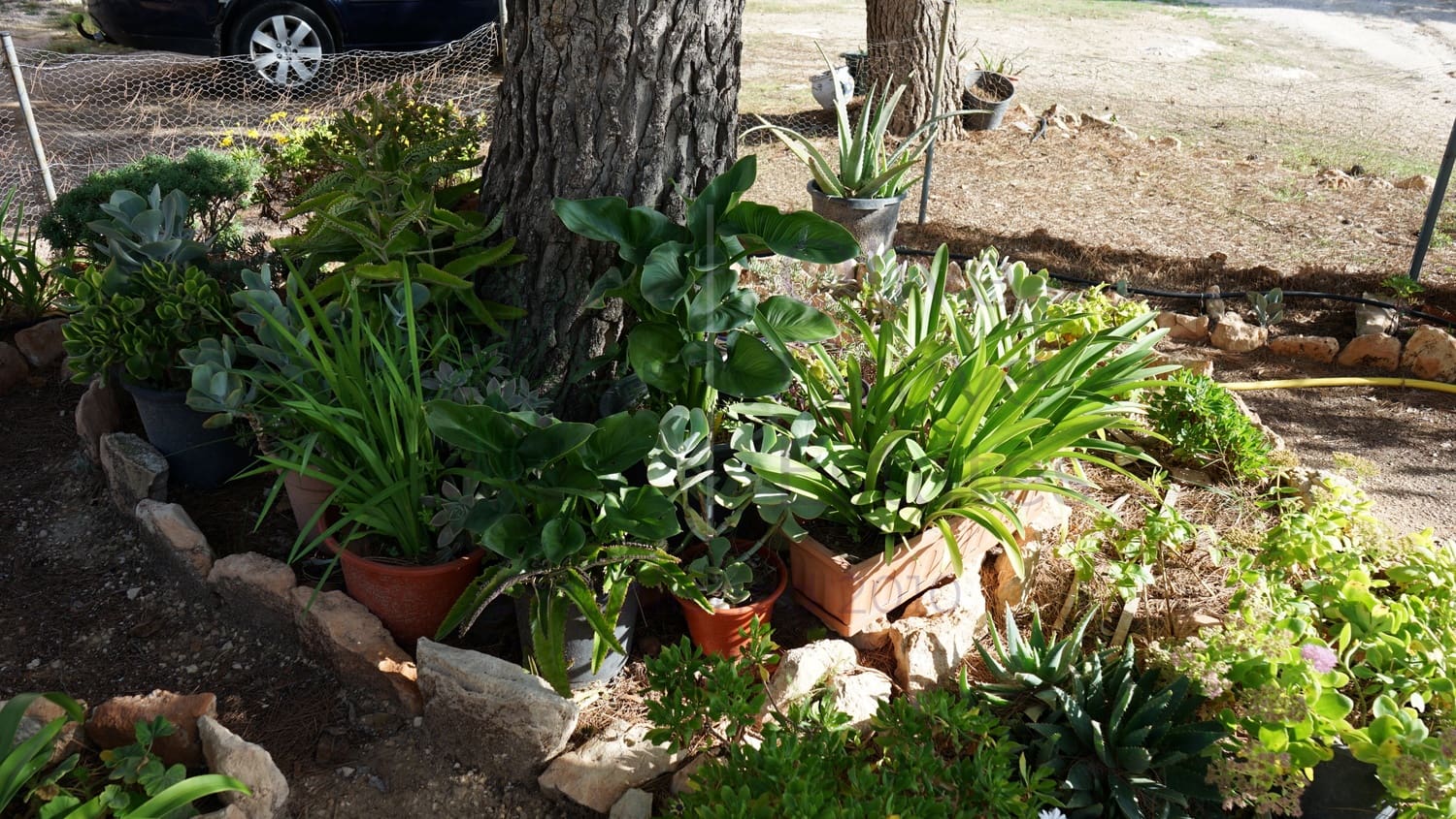 2 soveværelse Finca/Landehus til salg i Yecla - € 68.000 (Ref: 7161947)