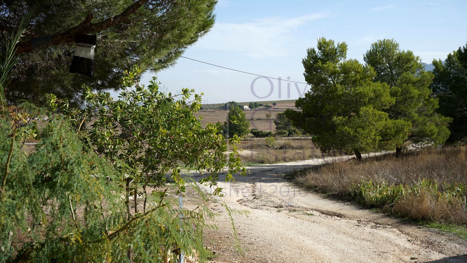 2 soveværelse Finca/Landehus til salg i Yecla - € 68.000 (Ref: 7161947)