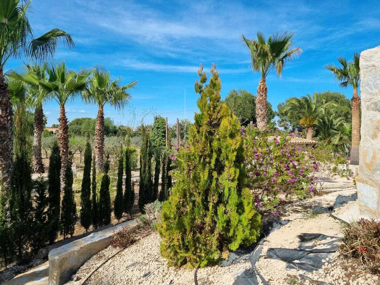 7 soveværelse Villa til salg i Elche / Elx med swimmingpool garage - € 825.000 (Ref: 7454711)