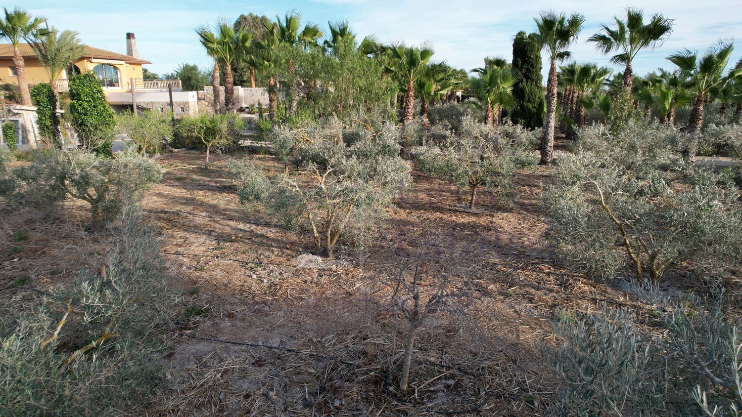 7 soveværelse Villa til salg i Elche / Elx med swimmingpool garage - € 825.000 (Ref: 7454711)