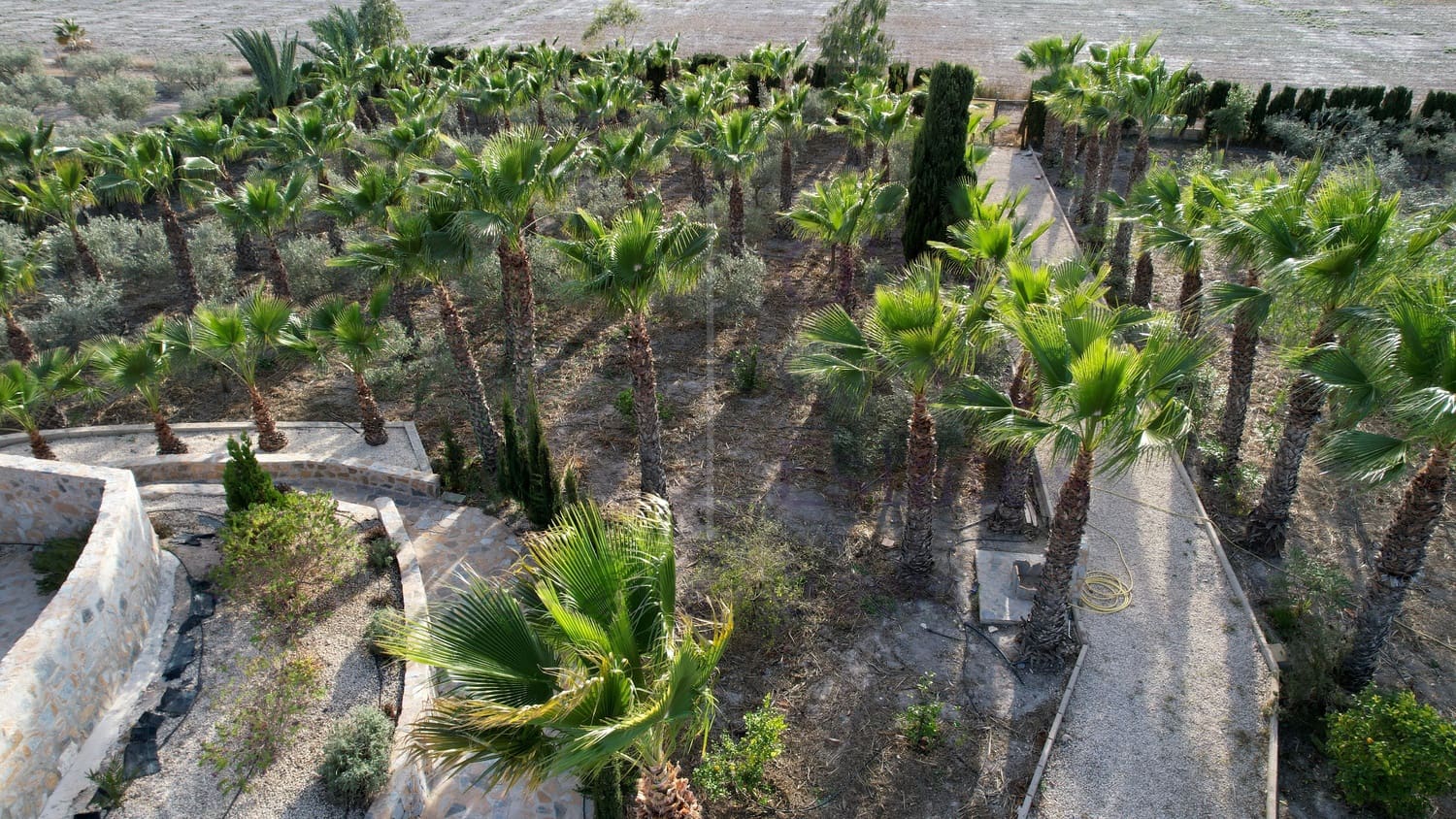 7 soveværelse Villa til salg i Elche / Elx med swimmingpool garage - € 825.000 (Ref: 7454711)