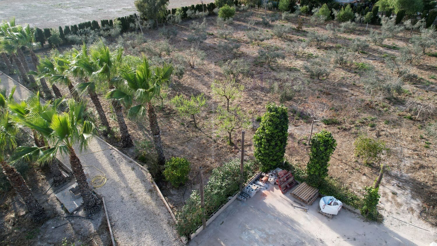 7 soveværelse Villa til salg i Elche / Elx med swimmingpool garage - € 825.000 (Ref: 7454711)