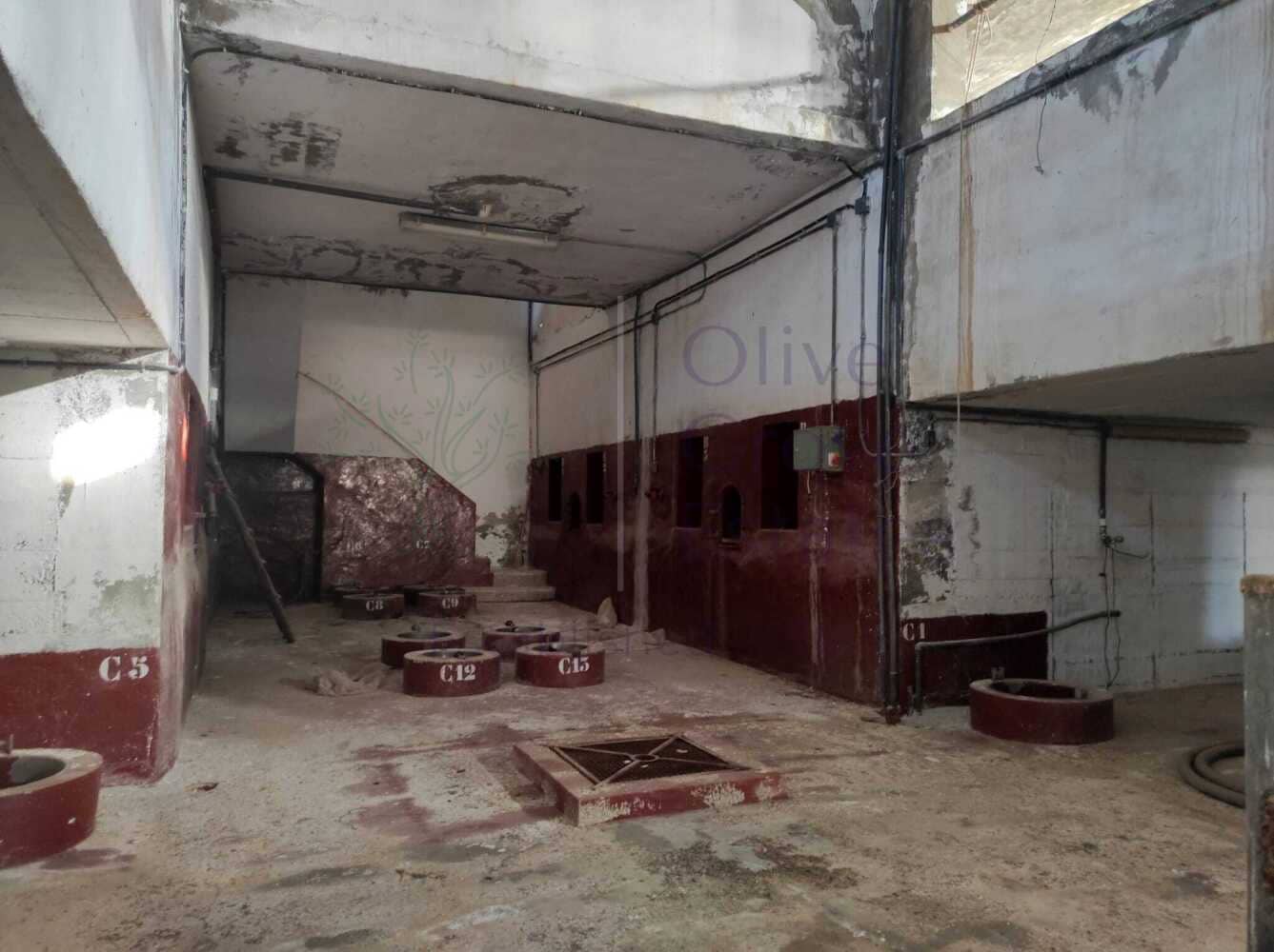 4 slaapkamer Finca/Landhuis te koop in Pinoso met zwembad garage - € 236.900 (Ref: 7475666)