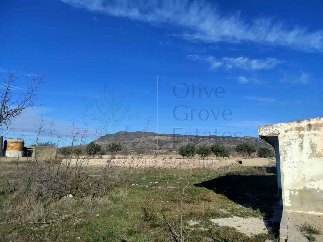 4 slaapkamer Finca/Landhuis te koop in Pinoso met zwembad garage - € 236.900 (Ref: 7475666)