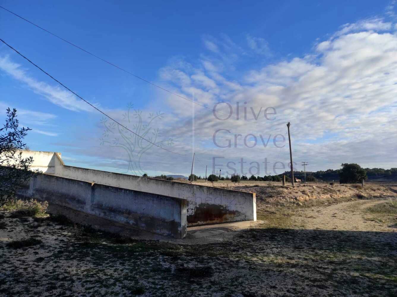 4 slaapkamer Finca/Landhuis te koop in Pinoso met zwembad garage - € 236.900 (Ref: 7475666)