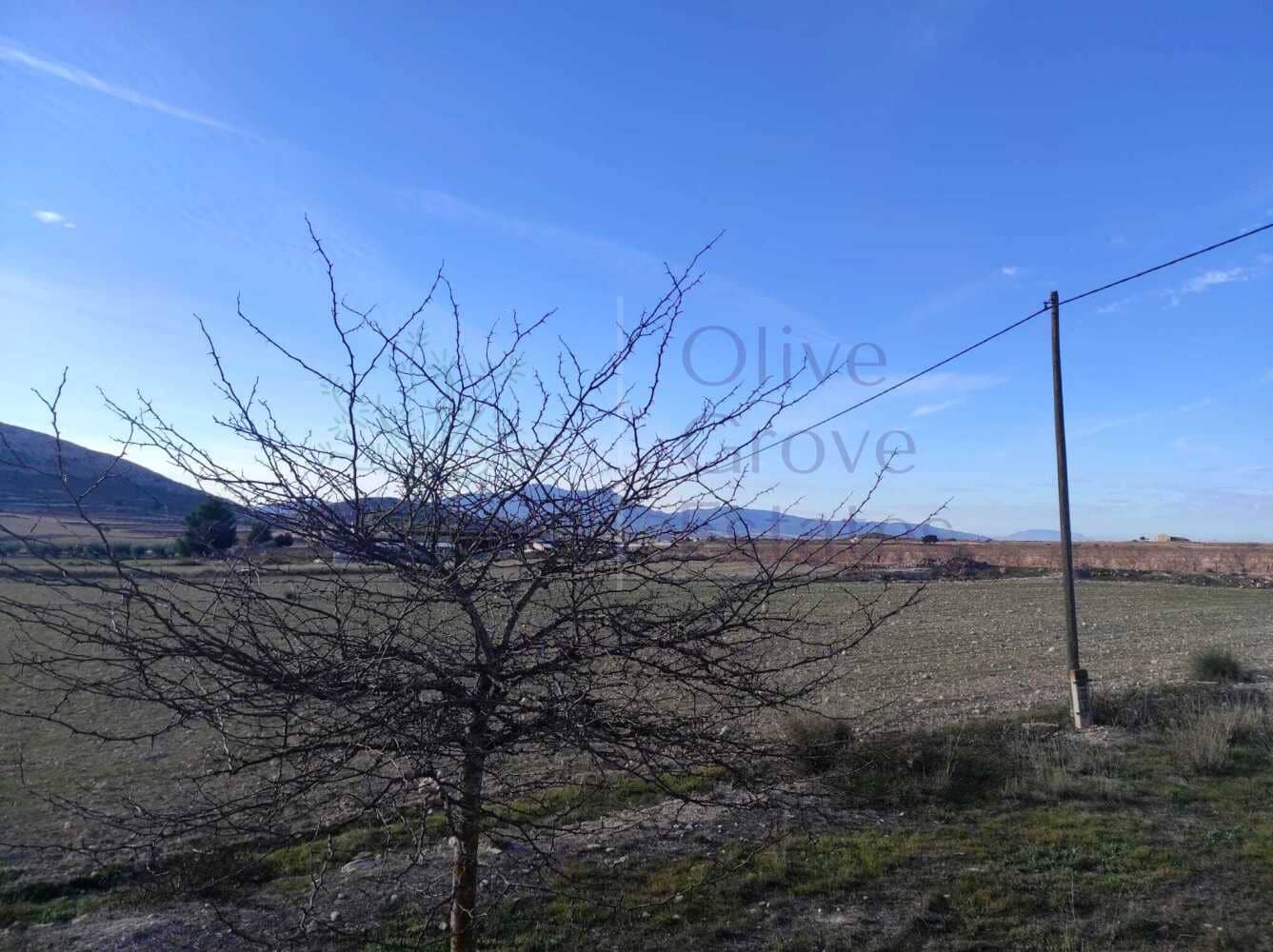 4 slaapkamer Finca/Landhuis te koop in Pinoso met zwembad garage - € 236.900 (Ref: 7475666)