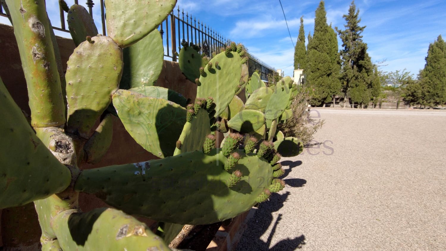 6 soveværelse Villa til salg i Caudete med garage - € 249.000 (Ref: 7529535)