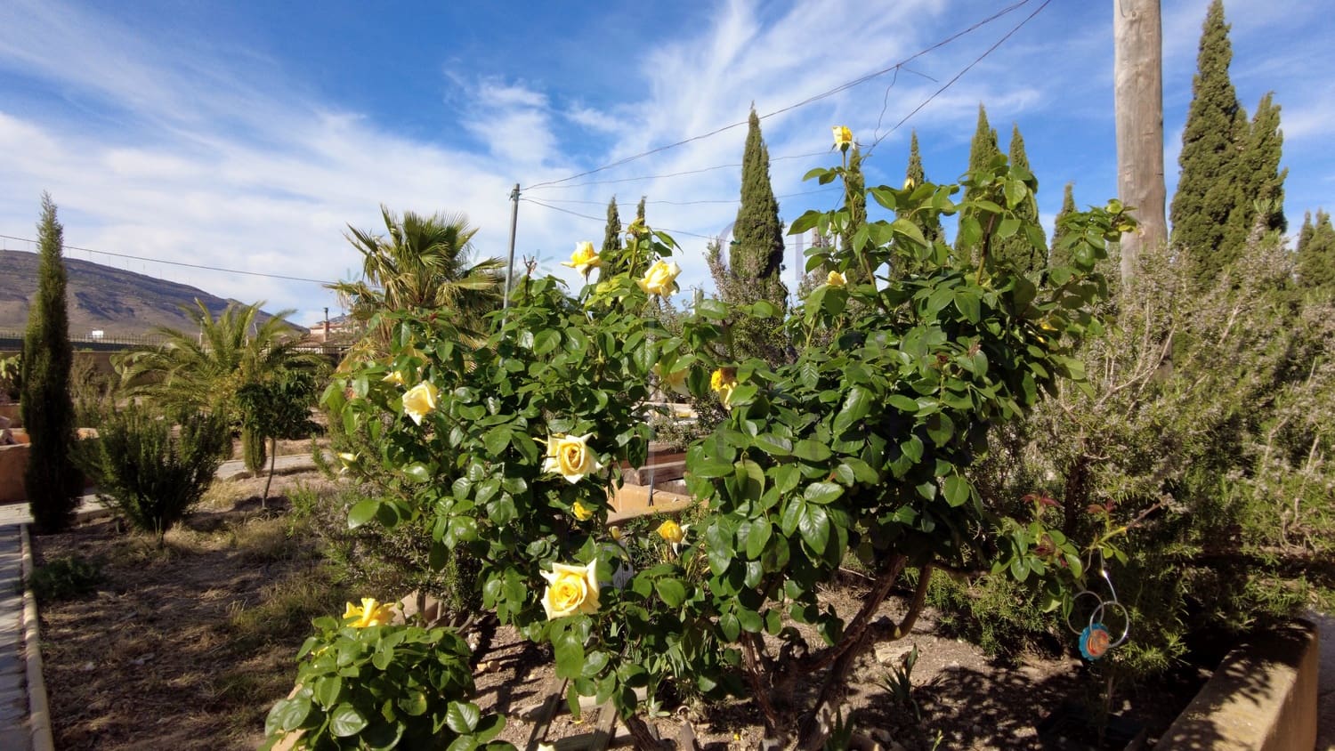 6 soveværelse Villa til salg i Caudete med garage - € 249.000 (Ref: 7529535)