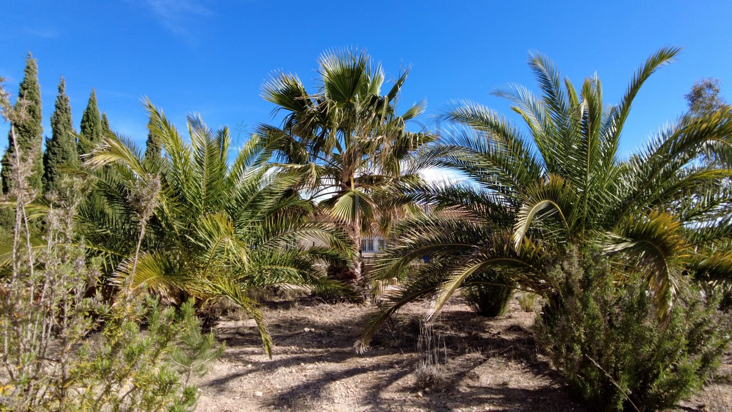 6 soveværelse Villa til salg i Caudete med garage - € 249.000 (Ref: 7529535)