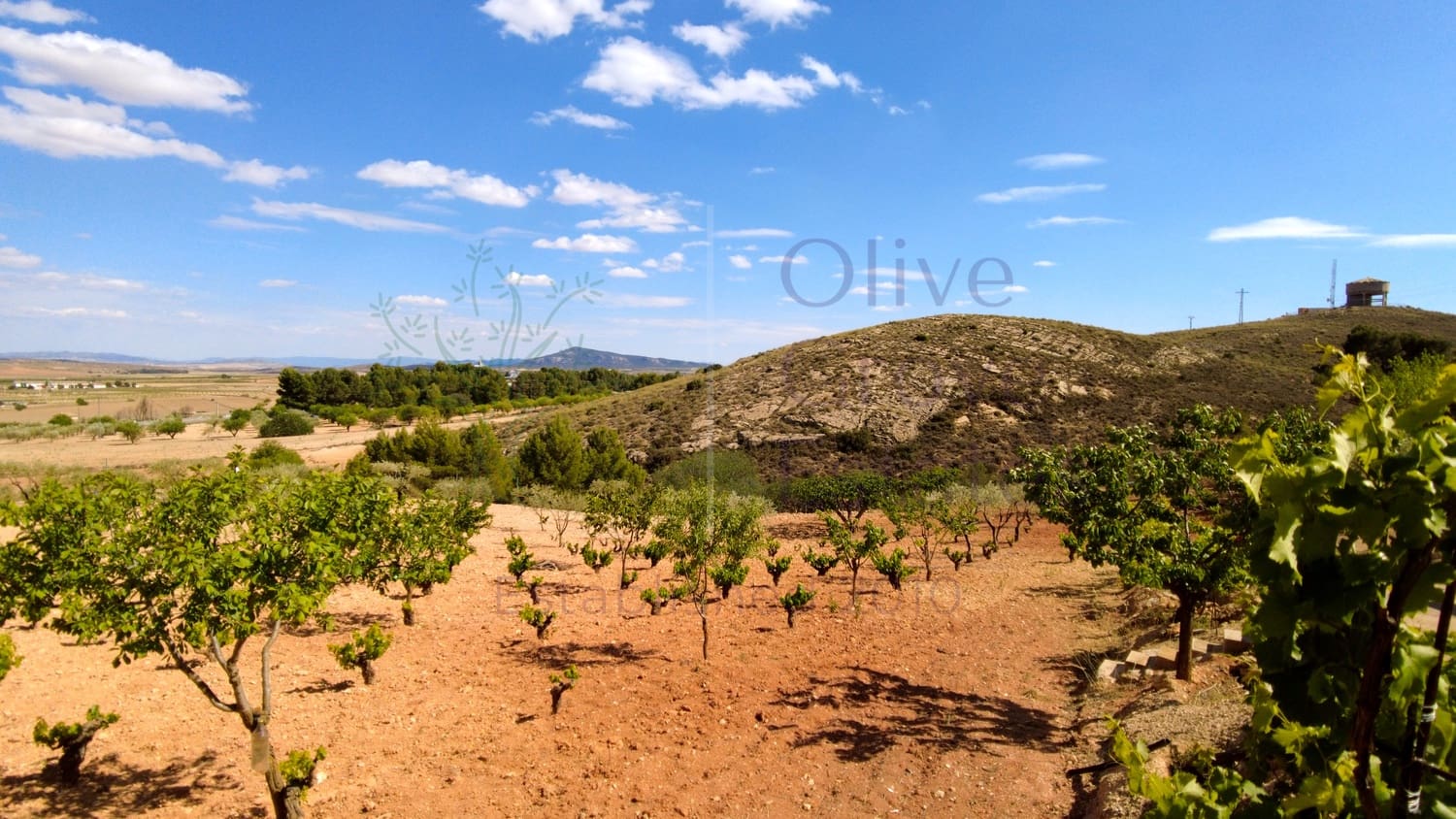 3 bedroom Villa for sale in Montealegre del Castillo with pool garage - € 209,995 (Ref: 7565323)