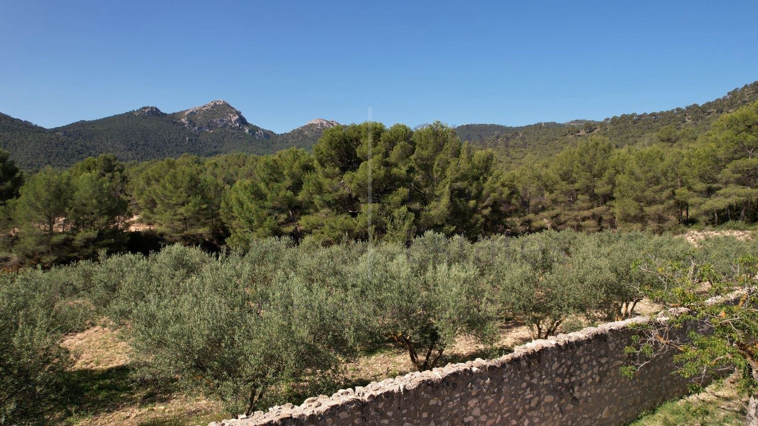 7 soveværelse Finca/Landehus til salg i Tibi - € 439.995 (Ref: 7652785)