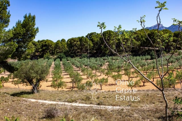 Finca/Casa Rural de 10 habitaciones en Castalla en venta con piscina garaje - 799.995 € (Ref: 7712083)