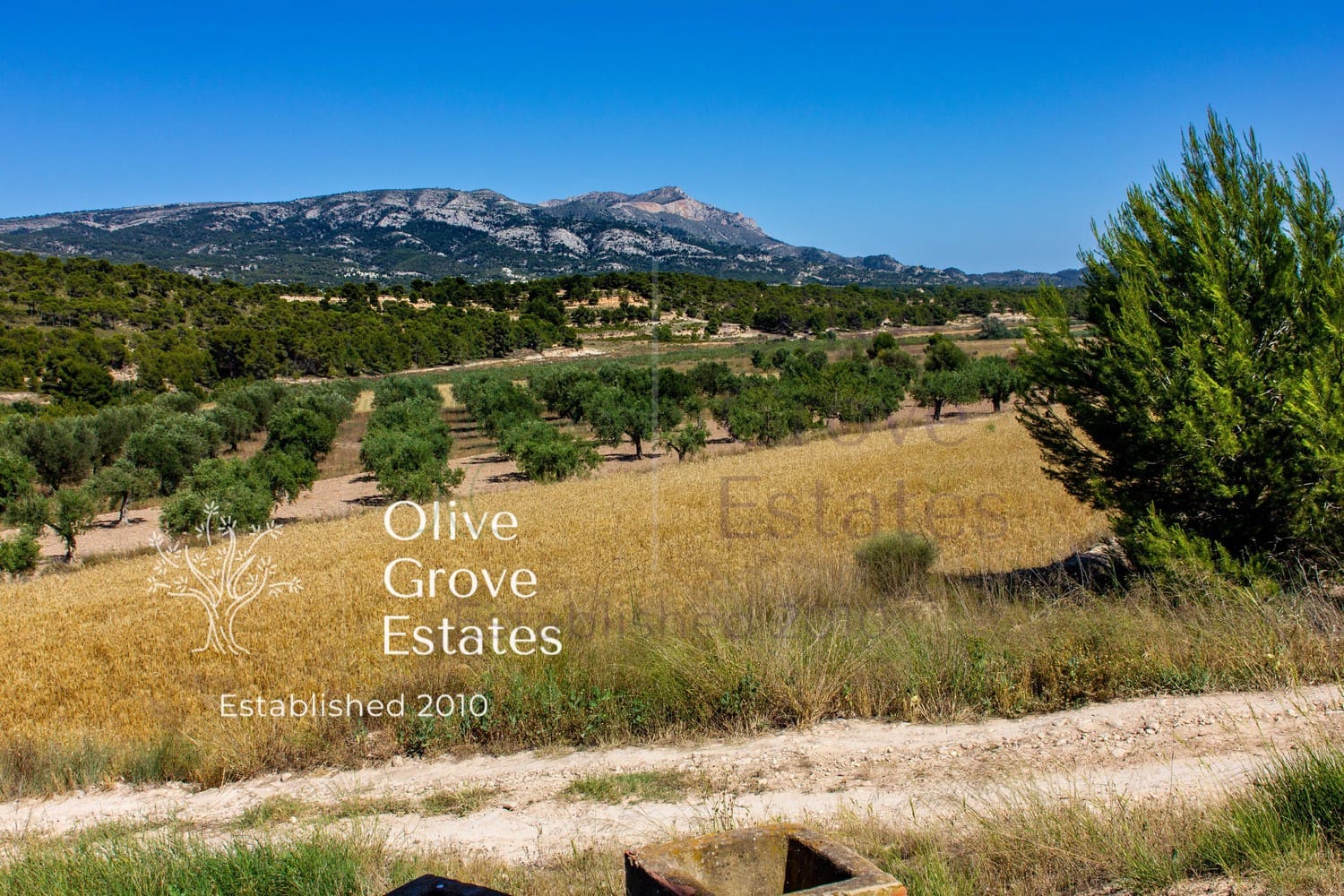 10 Zimmer Finca/Landgut zu verkaufen in Castalla mit Pool Garage - 799.995 € (Ref: 7712083)