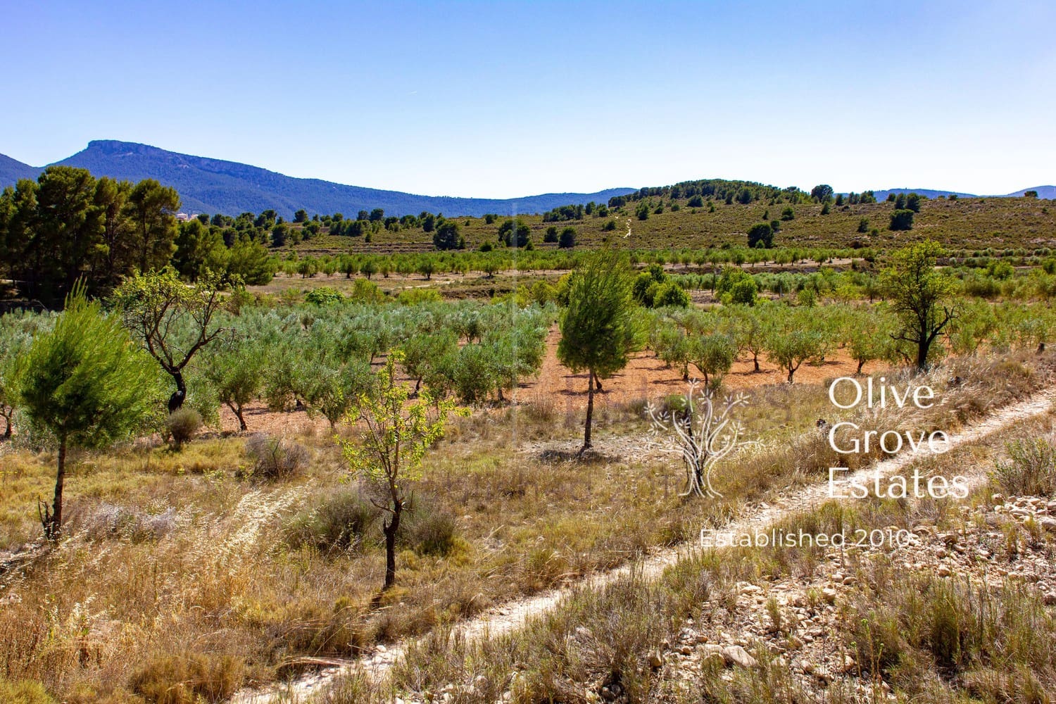 10 Zimmer Finca/Landgut zu verkaufen in Castalla mit Pool Garage - 799.995 € (Ref: 7712083)