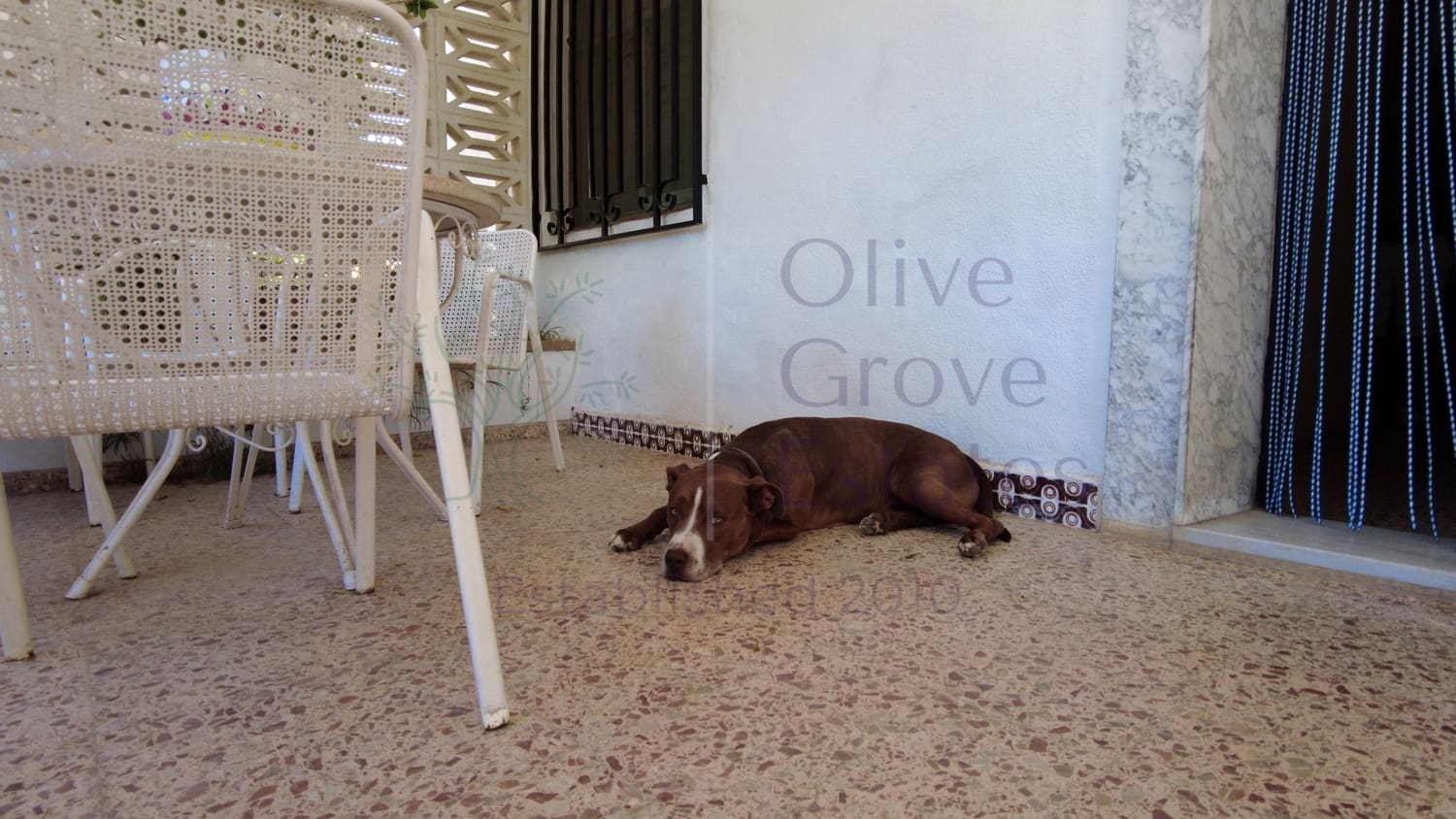 9 soverom Villa til salgs i Elda med svømmebasseng - € 299 995 (Ref: 7724828)