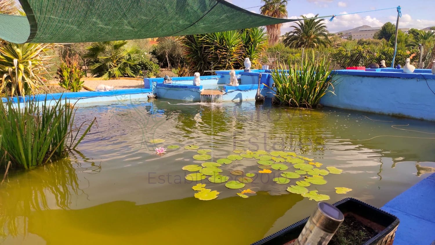 6 soveværelse Villa til salg i Salinas - € 274.995 (Ref: 7806635)