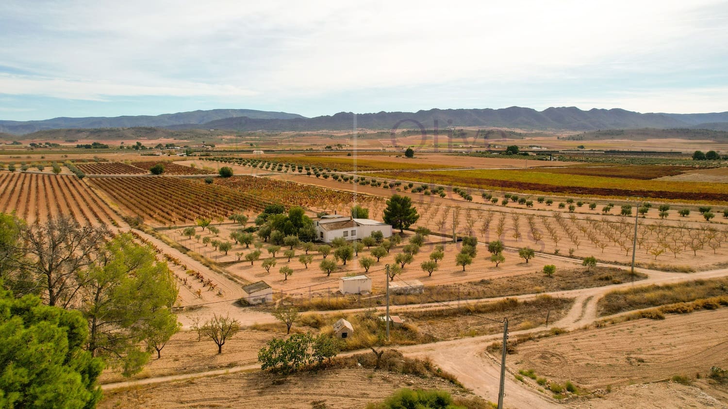 4 sovrum Villa till salu i Yecla med pool garage - 159 995 € (Ref: 7856573)