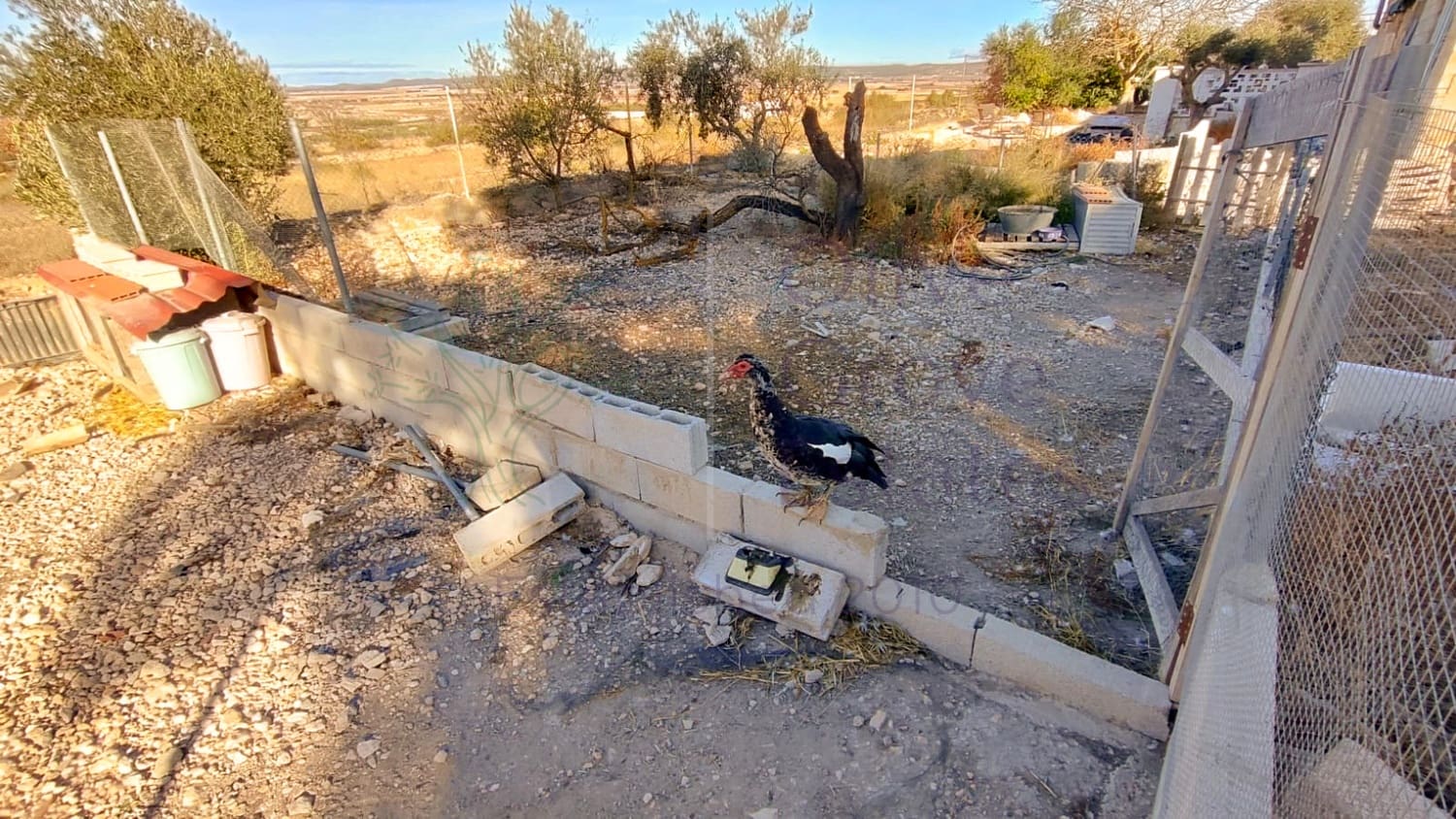 4 soveværelse Villa til salg i Yecla med swimmingpool garage - € 189.950 (Ref: 7953532)