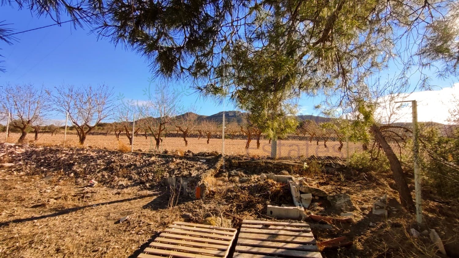 4 soveværelse Villa til salg i Yecla med swimmingpool garage - € 189.950 (Ref: 7953532)