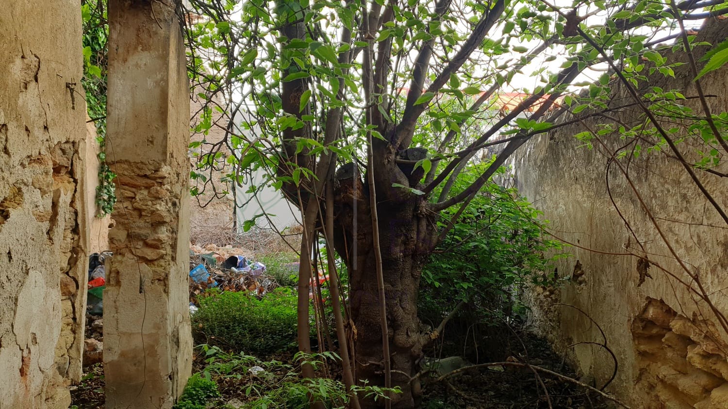 Grond te koop in Almansa - € 49.000 (Ref: 8208156)