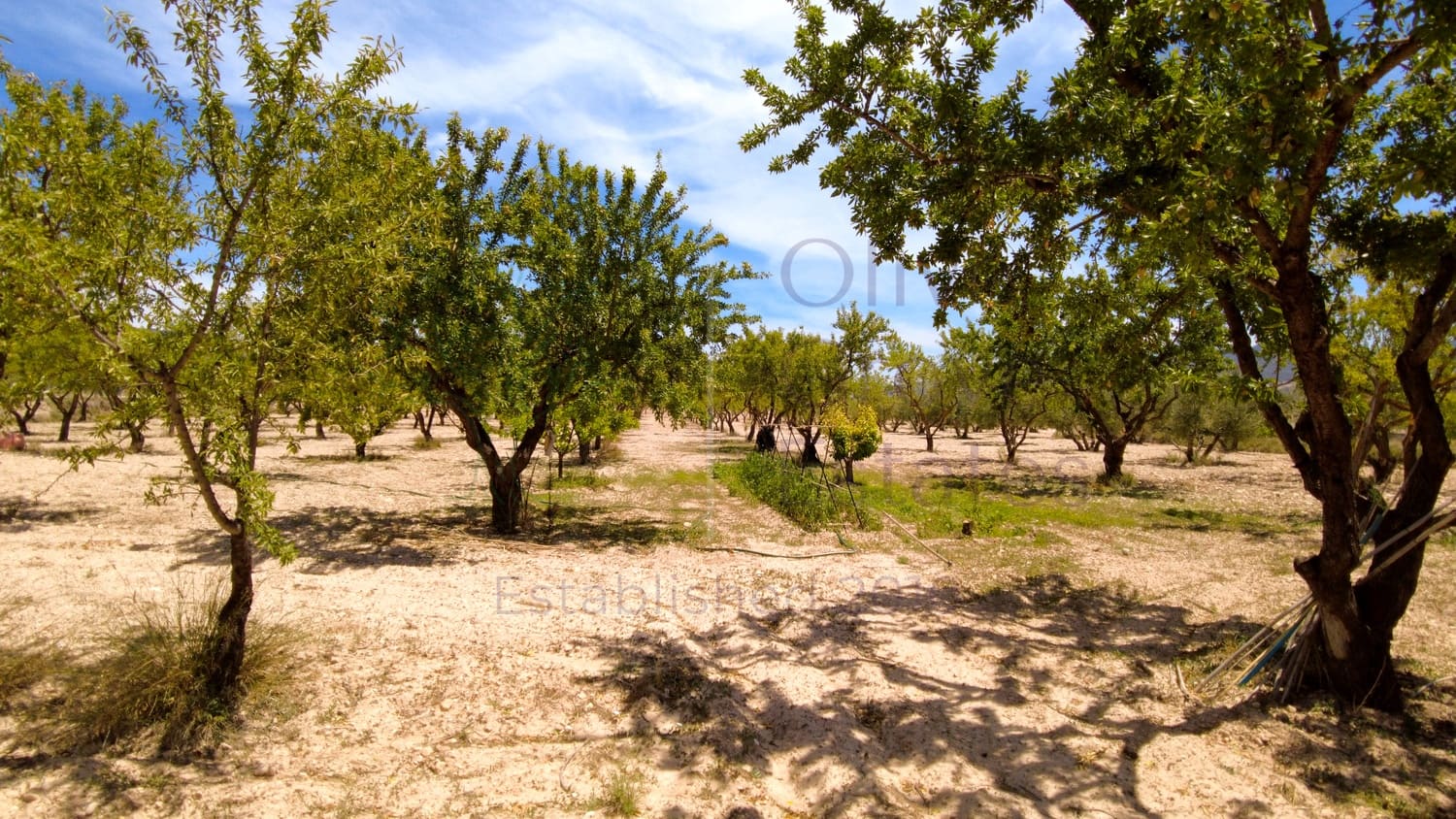 4 chambre Villa/Maison à vendre à Castalla avec garage - 349 950 € (Ref: 8408753)