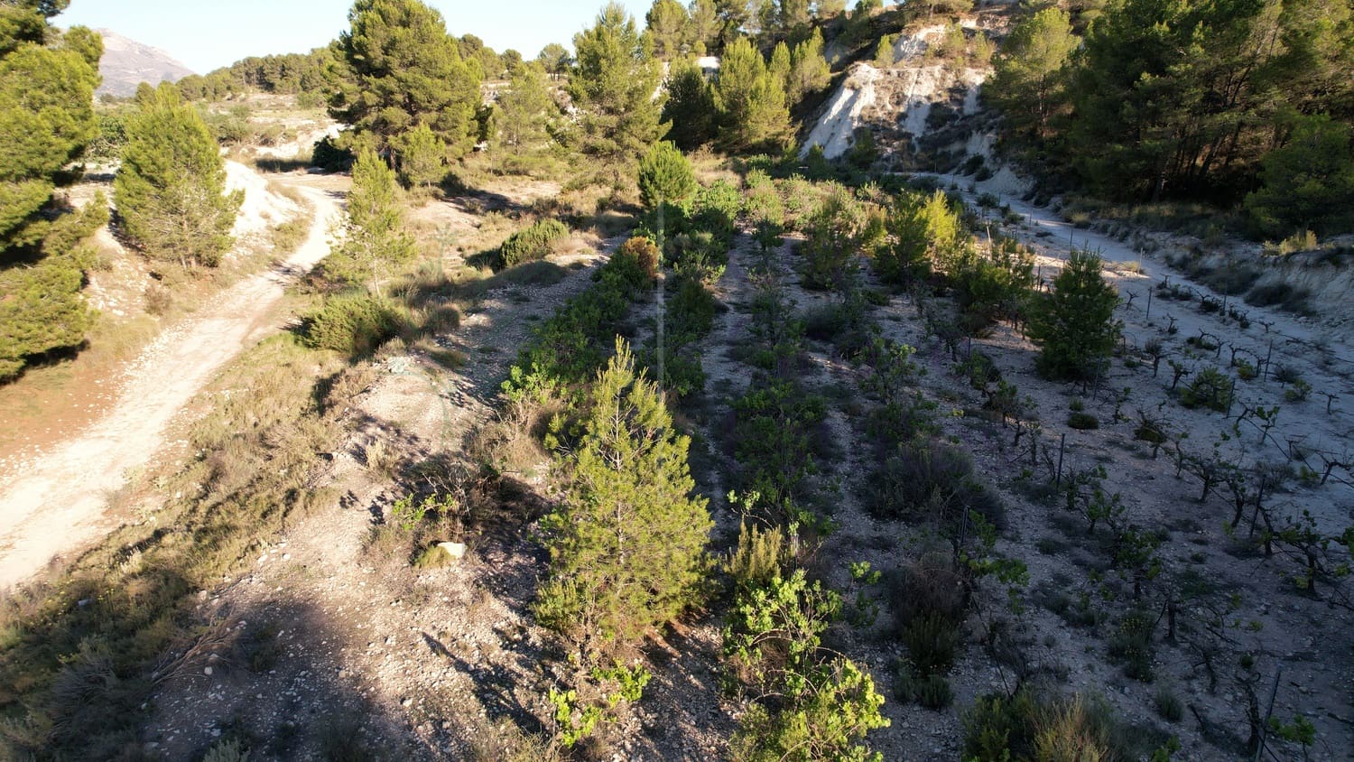 2 soveværelse Finca/Landehus til salg i Castalla - € 399.950 (Ref: 8412003)