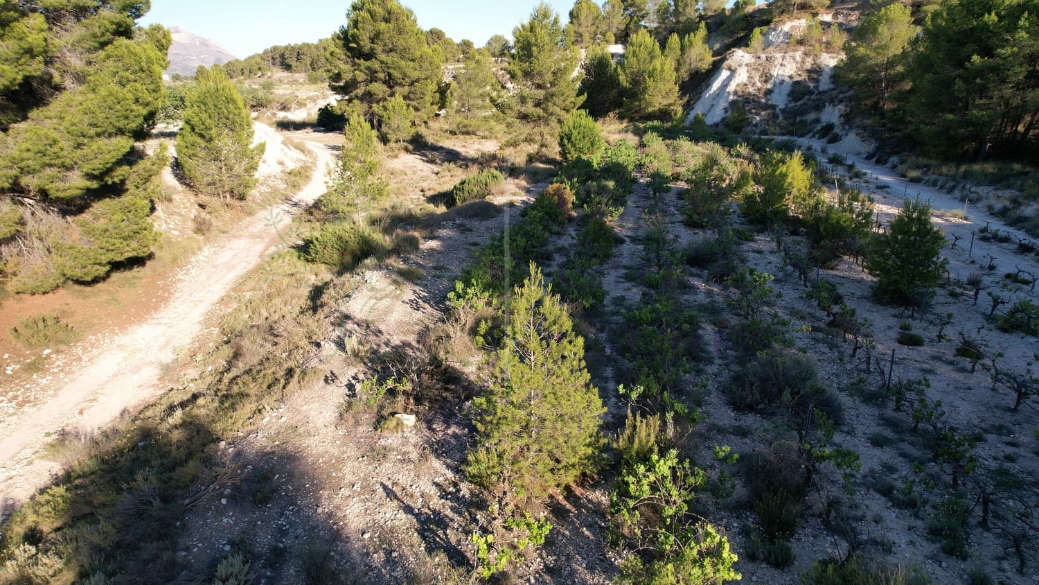 2 soveværelse Finca/Landehus til salg i Castalla - € 399.950 (Ref: 8412003)