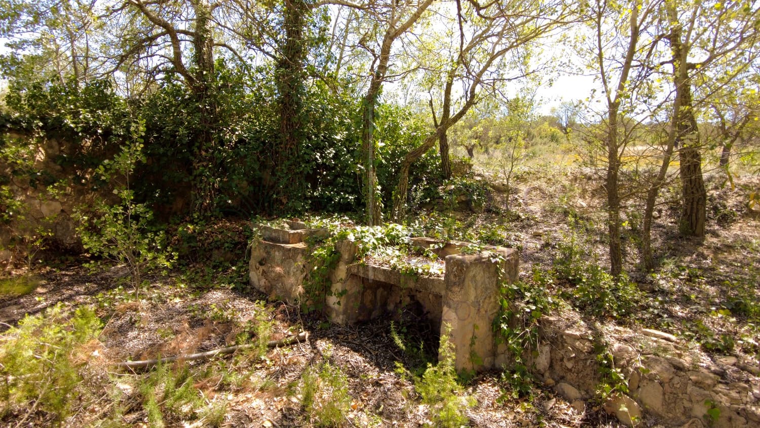 4 soveværelse Villa til salg i Almansa - € 179.950 (Ref: 8420875)